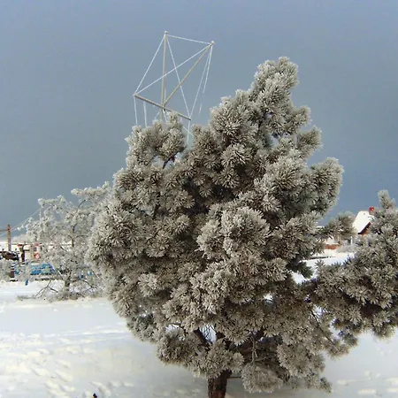 In Insel Poelgollwitz Apartment